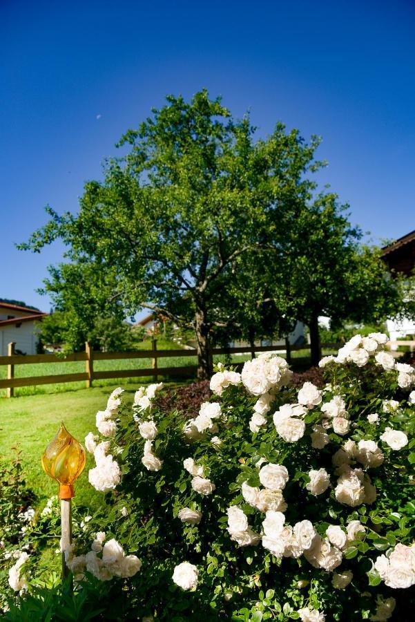 Ferienhotel Elvira Thiersee Dış mekan fotoğraf